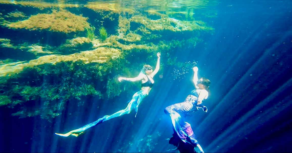 The Mermaid Connection