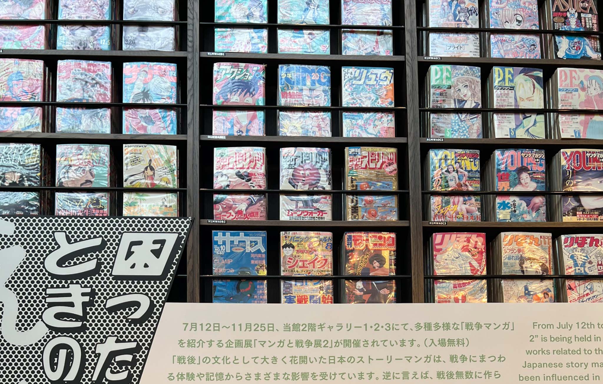 image of bookshelf full of manga in the Kyoto International Manga Museum in Japan